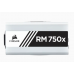 Corsair RM750X 80 Plus Gold Full Modular Power Supply - White 
